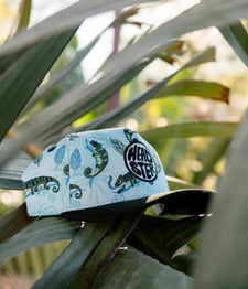 HEADSTER • CASQUETTE SNAPBACK À VISIÈRE MISTER CHAMELEON CRYSTAL
